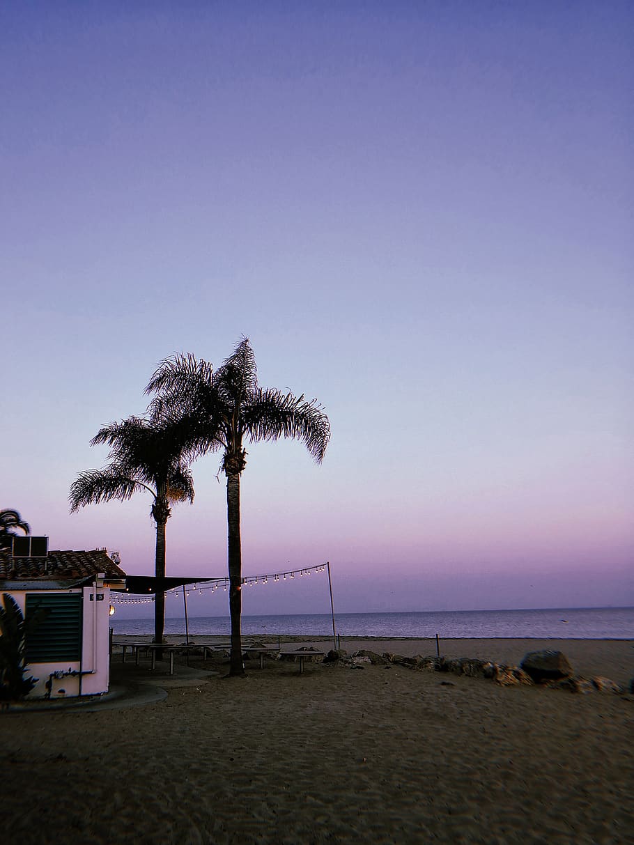 santa barbara, united states, beach, sundown, atmosphere, purple, HD wallpaper