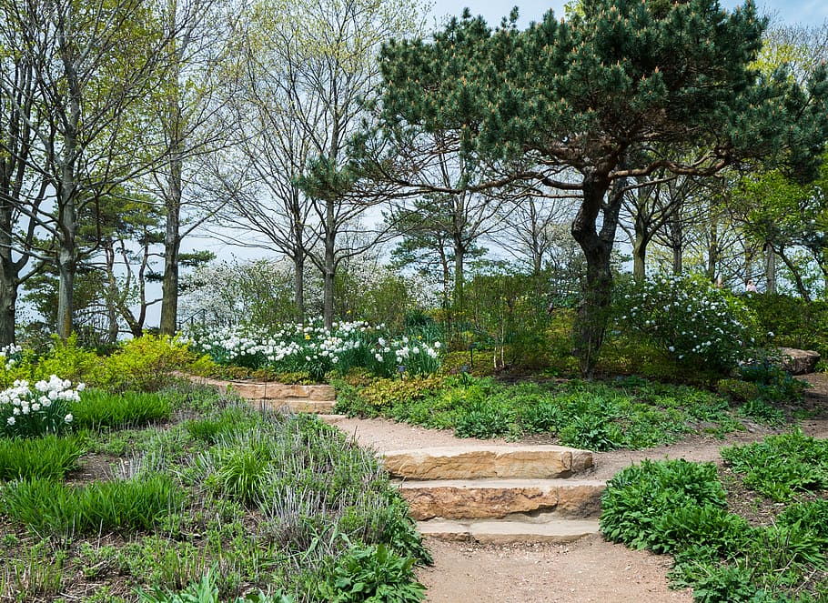 trees, garden, flowers, steps, white, green, plant, green color HD wallpaper