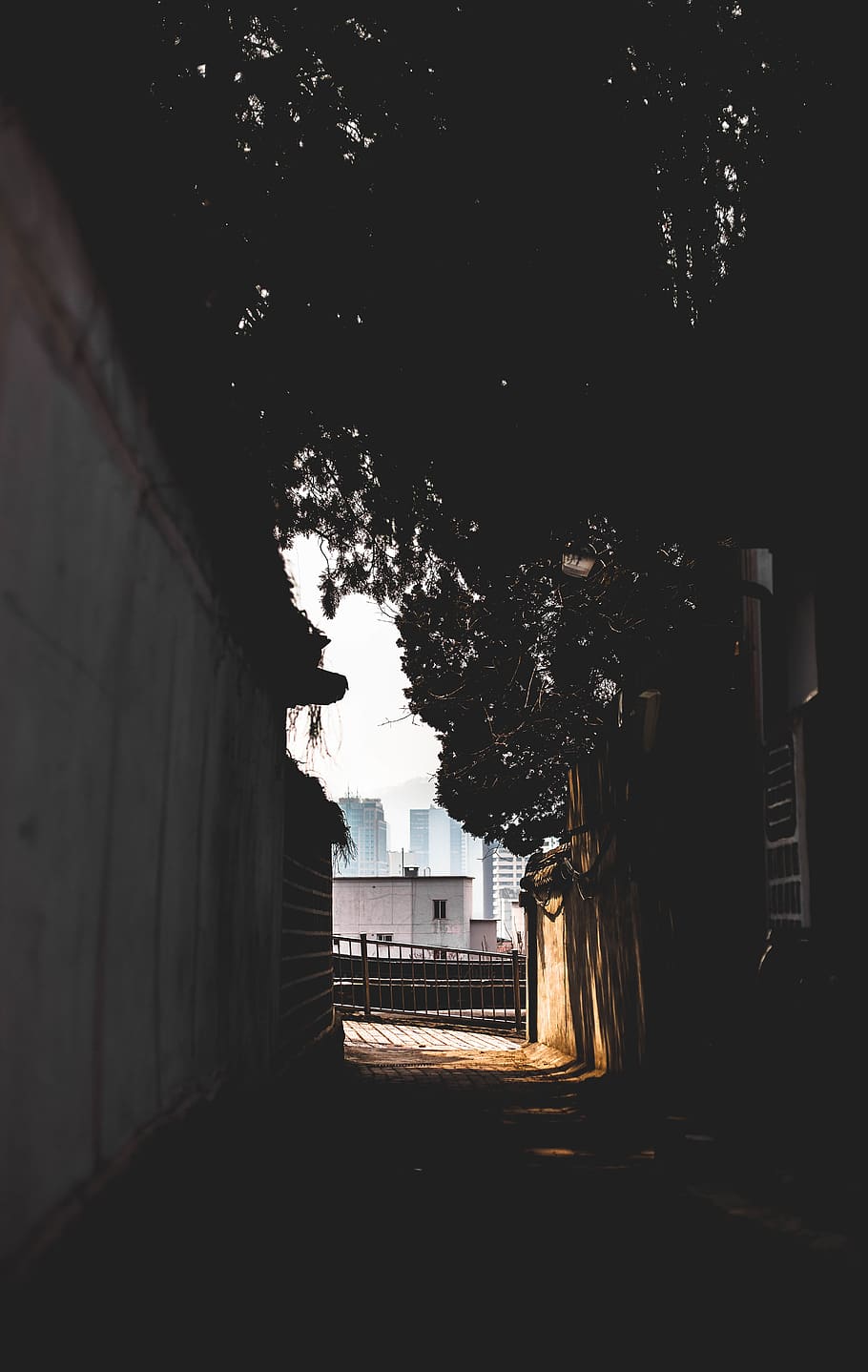 white wall near tree during daytime, architecture, built structure HD wallpaper