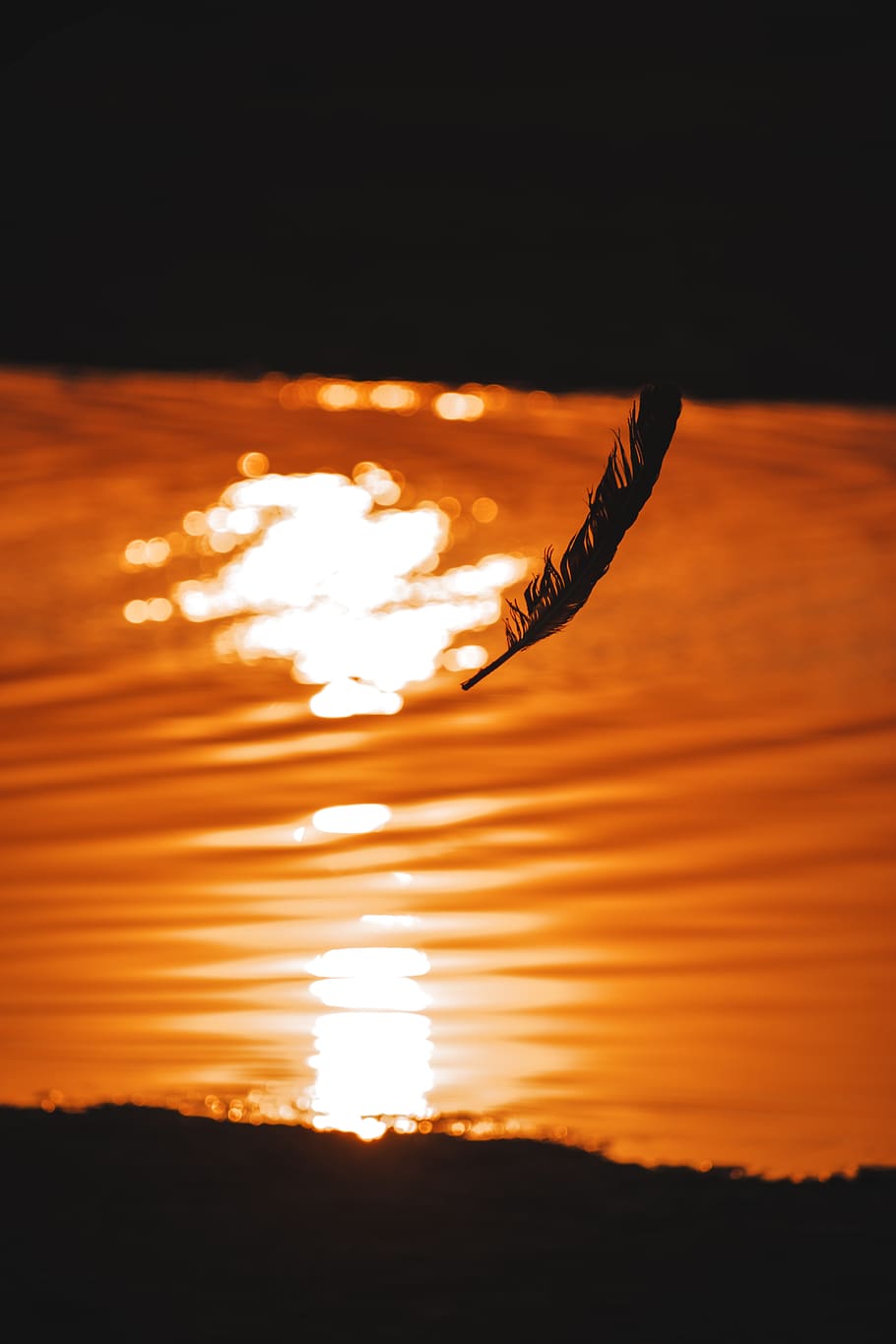 india, gujarat, sunset, sky, orange color, silhouette, nature HD wallpaper
