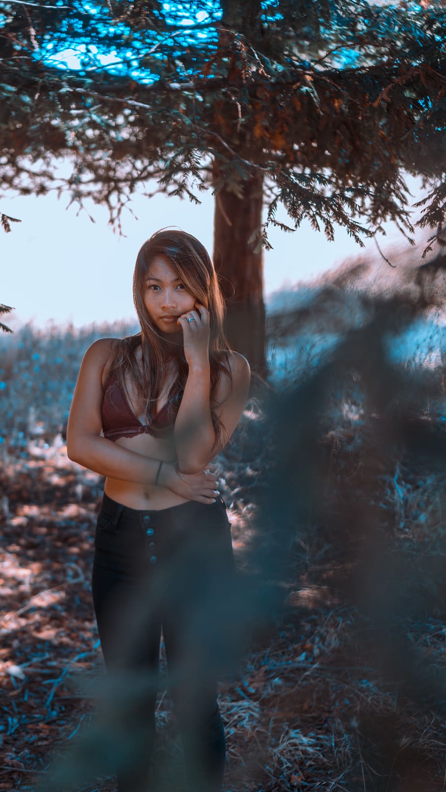 one unknown celebrity standing beside tree, one person, land HD wallpaper