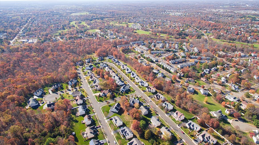 HD wallpaper: aerial view, landscape, trees, fall, suburb, houses ...