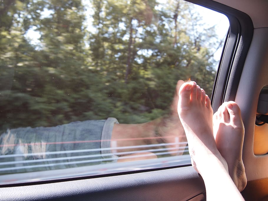 feet, in the car, window, transportation, tree, mode of transportation, HD wallpaper