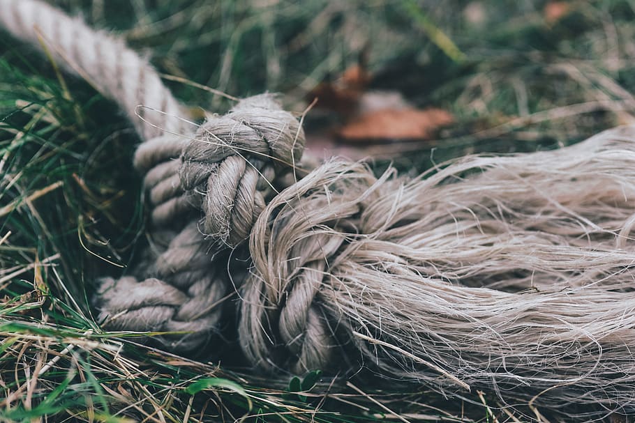 outside, beige, rope, close-up, nature, no people, plant, focus on foreground HD wallpaper