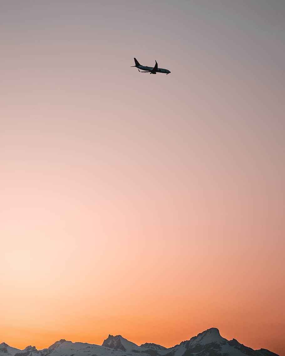 Airplane in Sky during Golden Hour, aeroplane, aircraft, aircraft wings