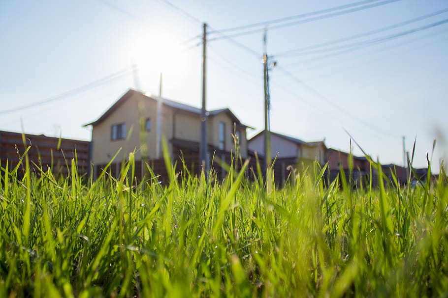 grass, house, sky, green, plant, nature, built structure, building exterior HD wallpaper