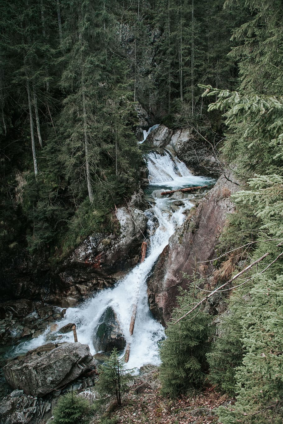 creak at daytime, poland, waterfall, nature, tree, forest, stream HD wallpaper
