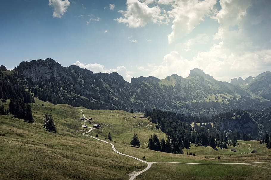 empty walkways by mountains, outdoors, field, nature, slope, grassland HD wallpaper