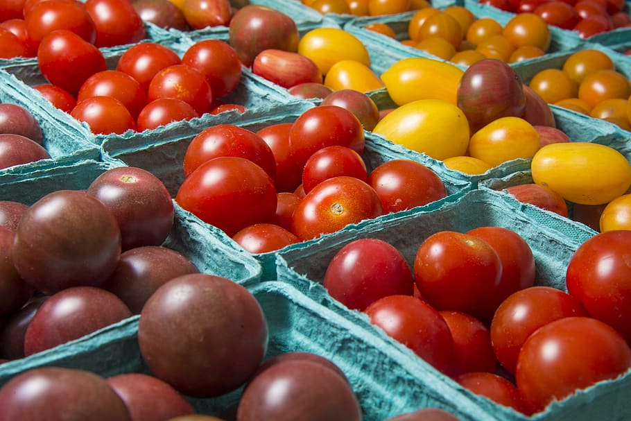 tomatoes, fresh, vegetables, healthy, farmers market, nutrition HD wallpaper
