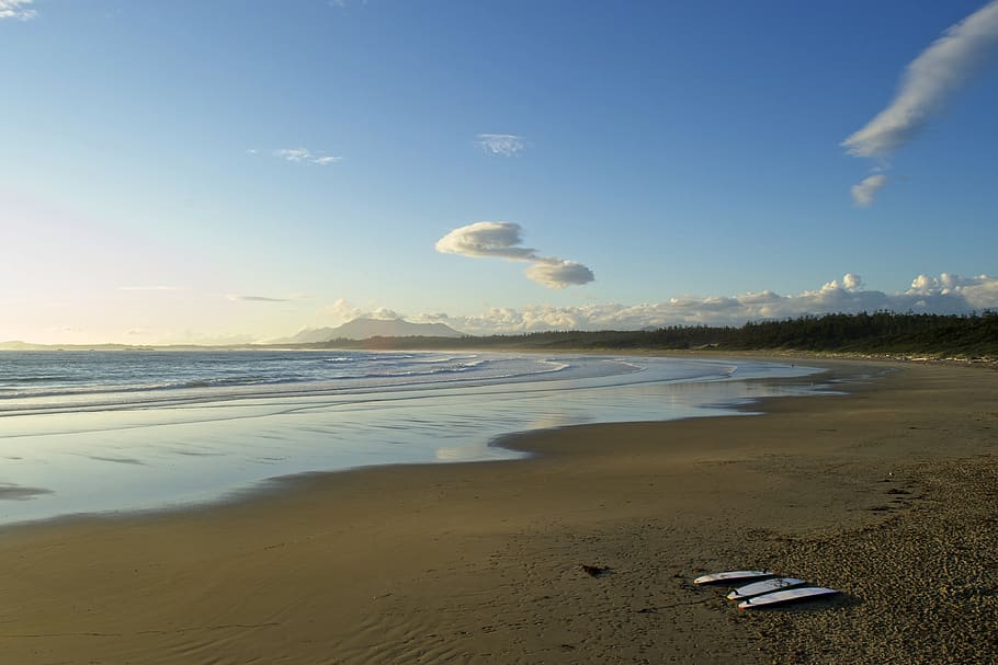 ocean, beach, summer, nature, scene, landscape, seascape, coast HD wallpaper