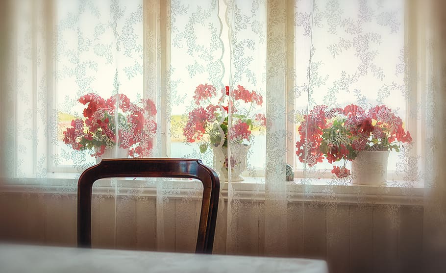 retro, nostalgic, window, old, fashioned, chair, flowers, wallpaper HD wallpaper