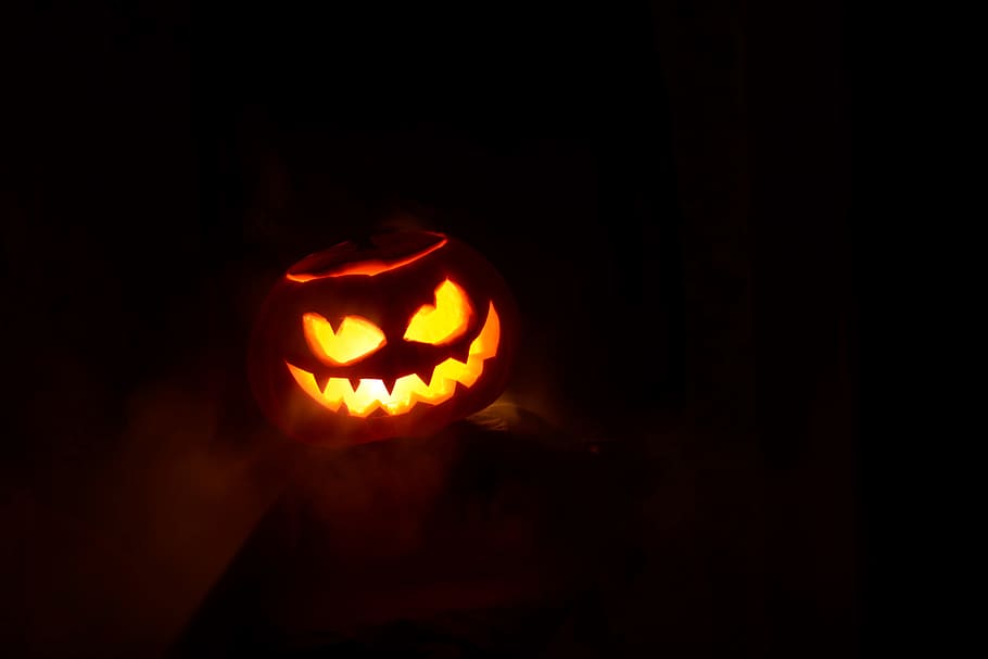 halloween, pumpkin, autumn, in the fall of, october, person, HD wallpaper