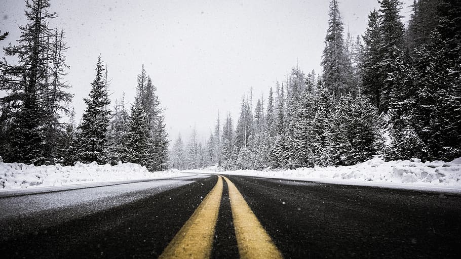 road, path, trees, plants, nature, travel, sky, snow, winter HD wallpaper