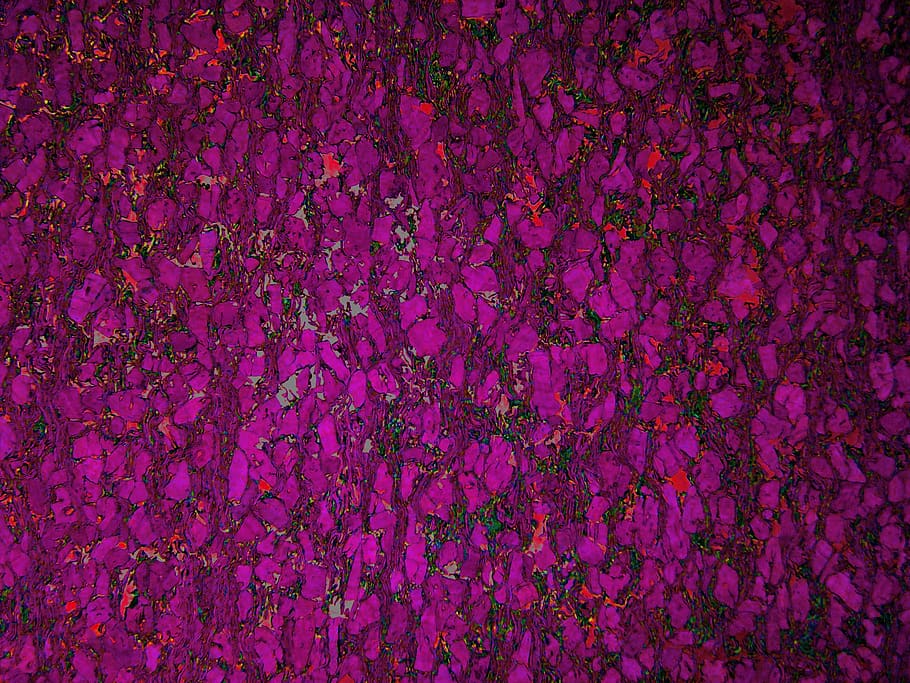purple and pink textile, flower, pink color, full frame, backgrounds HD wallpaper