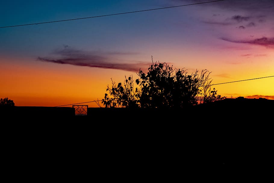 lanzarote, sunset, trees, colours, silhouette, sky, cloud - sky HD wallpaper
