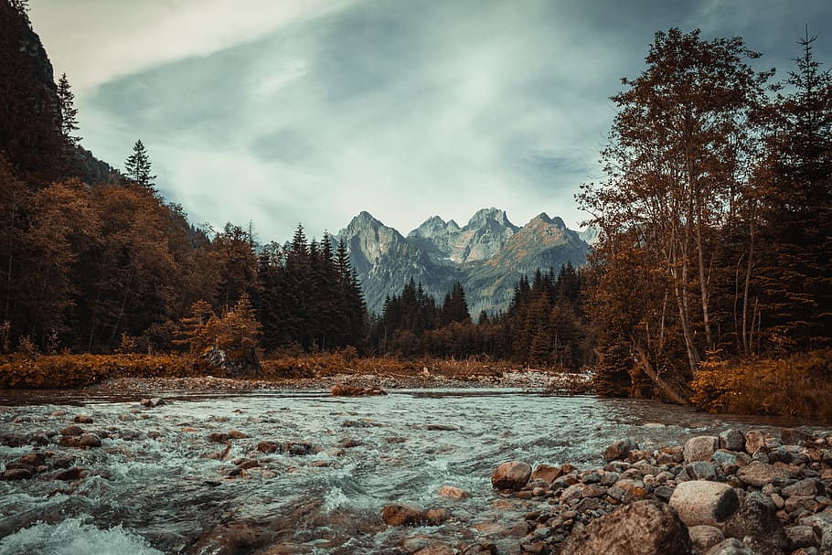 lake near forest trees during daytime, mountain, water, river HD wallpaper