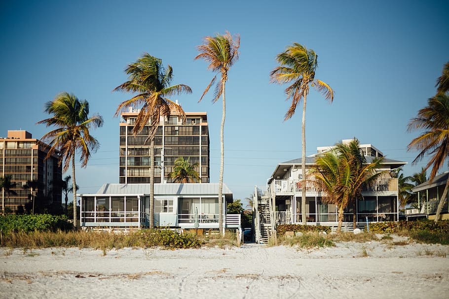 architecture, building, infrastructure, palm, trees, plants HD wallpaper
