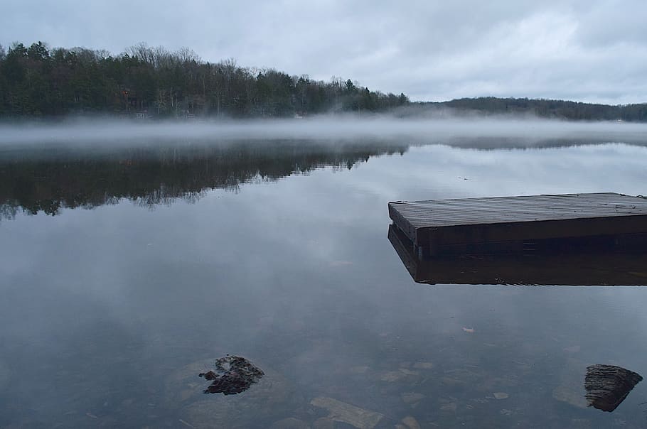 lake, overcast, water, reflection, mist, fog, rock, trees, shore line HD wallpaper