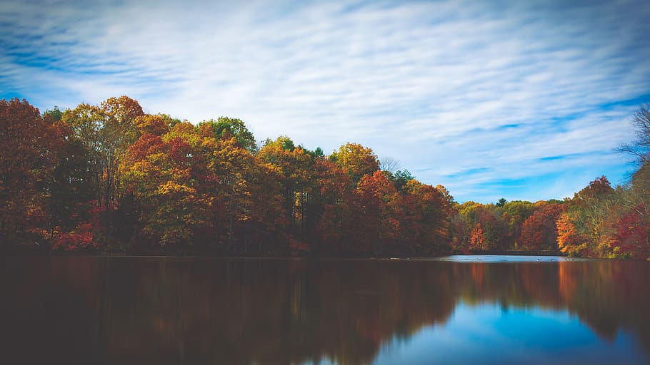 green leafed trees, lake, water, sky, nature, outdoors, autumn HD wallpaper