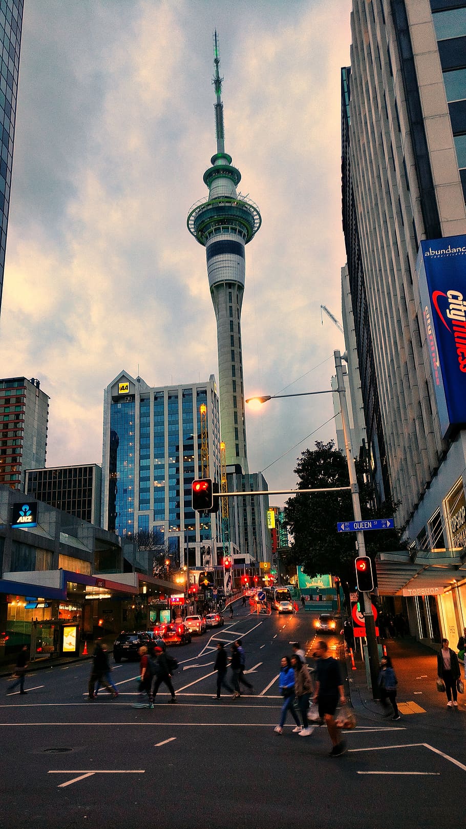 Beautiful Background Auckland sky tower Images for your travel projects