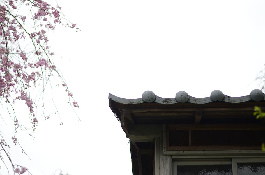 roofing tile, sky, built structure, architecture, low angle view HD wallpaper