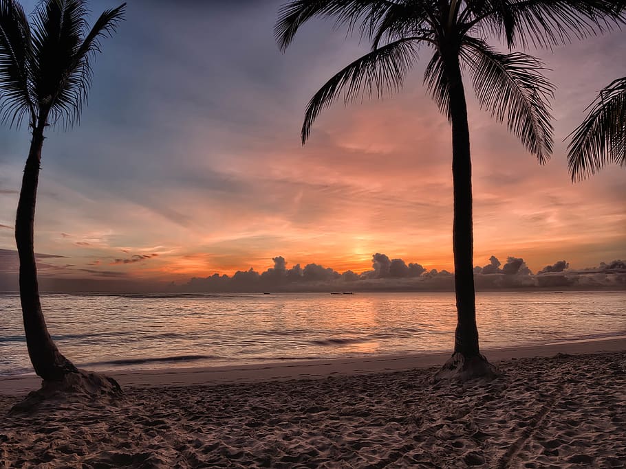 Sunset on Sea Shore, beach, clouds, dawn, idyllic, ocean, palm trees HD wallpaper