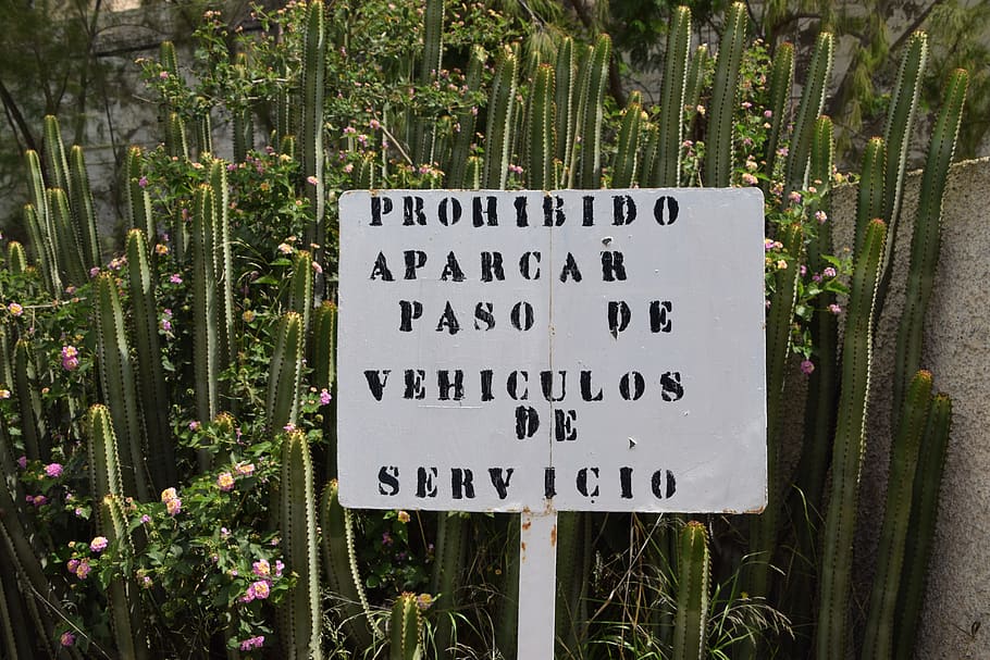shield, spanish, cactus, spain, warnschild, garden, landscape HD wallpaper