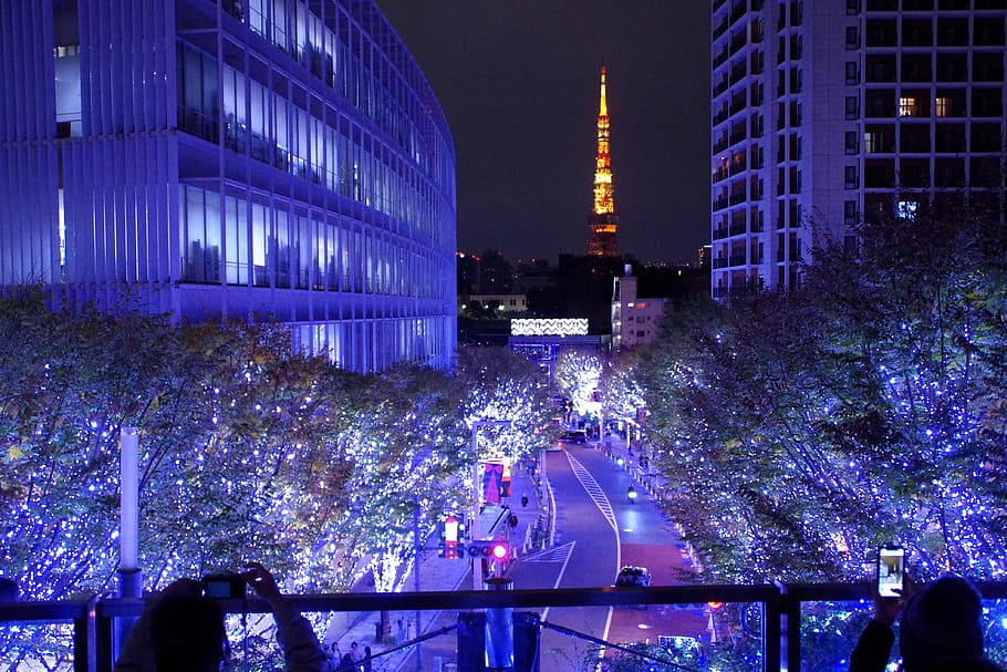 japan, tokyo, roppongi hills, christmas, architecture, night, HD wallpaper