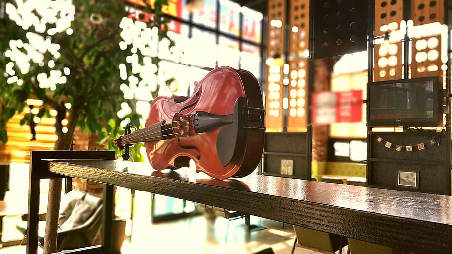 cafe, violin, props, coffee, break, leisure, music, real people HD wallpaper