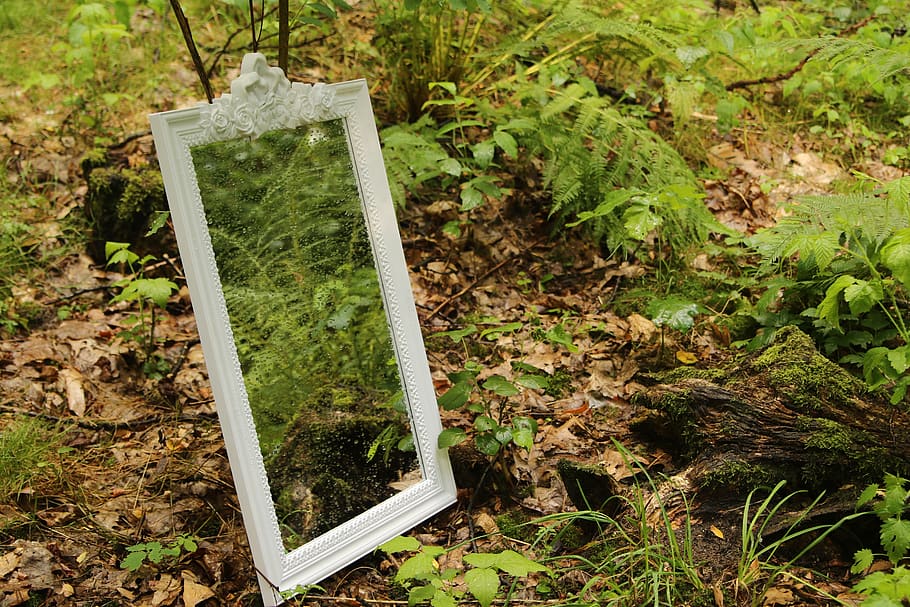mirror, forest, reflection, nature, tree, peace of mind, green HD wallpaper