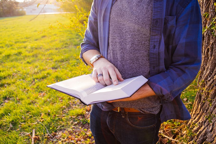 guy, student, people, book, reading, hands, plaid, sunset, grass HD wallpaper