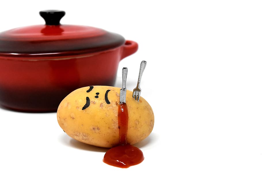 potato, meal, kill, preparing something to eat, food, nature HD wallpaper