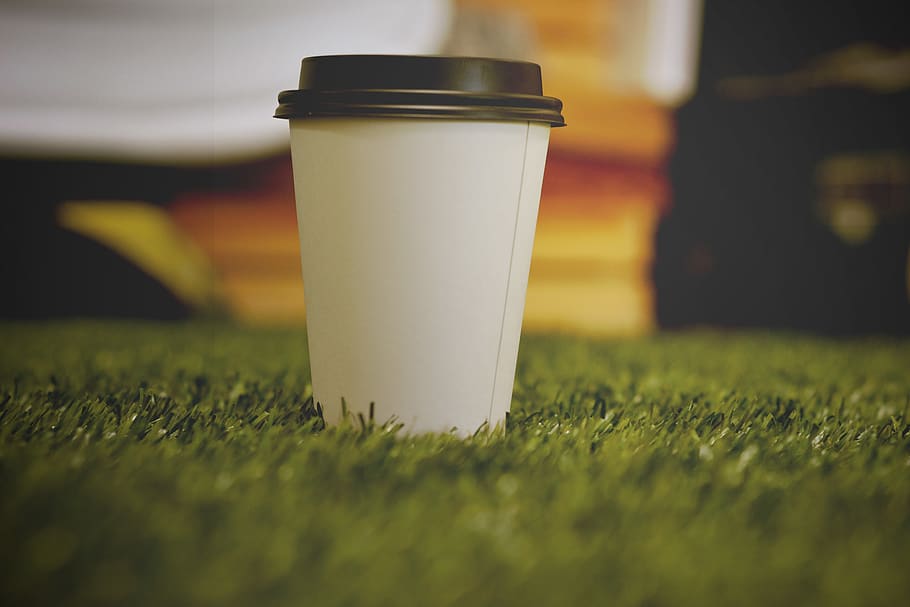 love, coffee, grass, drink, disposable, plant, selective focus HD wallpaper