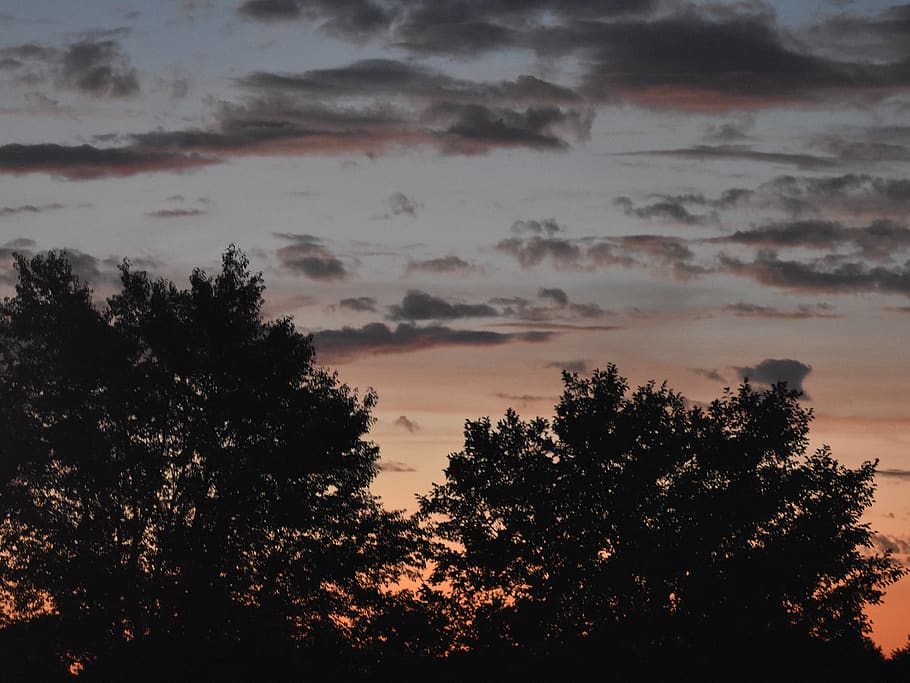 shadows, clouds, trees, sunset, cloud - sky, beauty in nature HD wallpaper