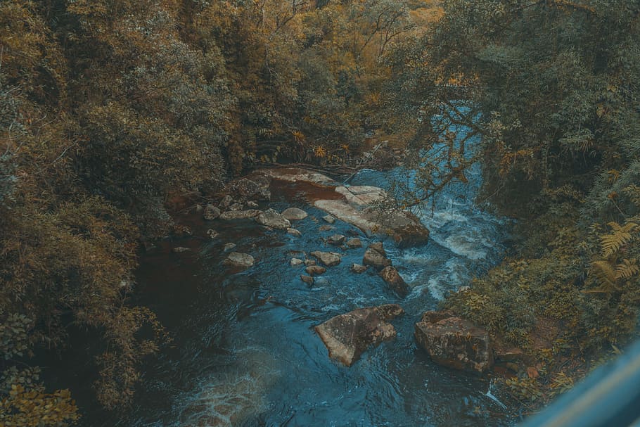 Water Surrounded by Trees, colors, daylight, environment, landscape HD wallpaper