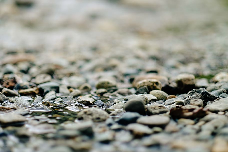 canada, whistler, water, stream, pebbles, shallow, smooth, creek HD wallpaper