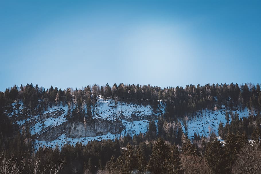 landscape, snow, winter, spring, trees, nature, sky, plant HD wallpaper
