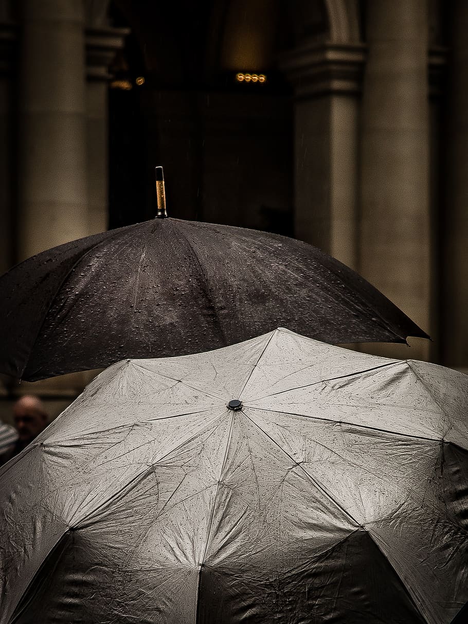 black, umbrella, water, drops, raining, outside, focus on foreground HD wallpaper