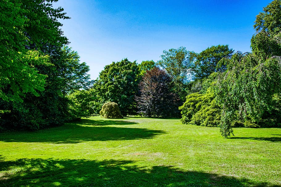 planting fields, nature, trees, grass, sky, green color, beauty in nature HD wallpaper