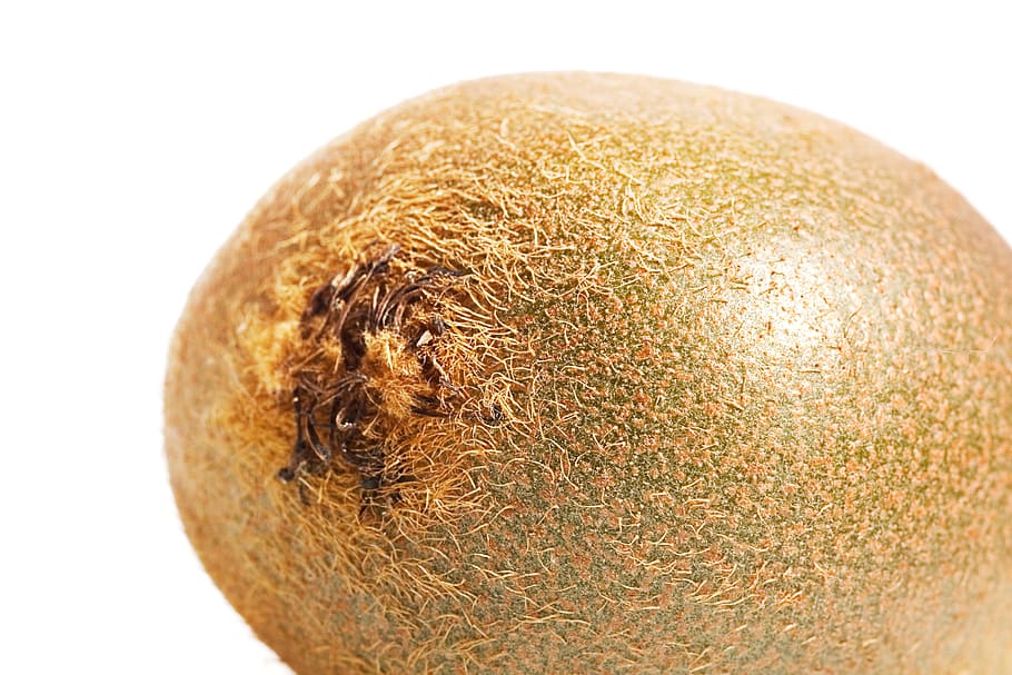 close-up, closeup, color, diet, dieting, eating, food, fresh HD wallpaper