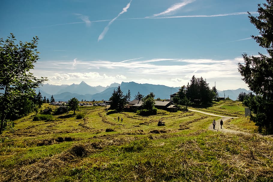 salzburg, austria, gaisberg, mountain, nature, hiking, plant, HD wallpaper
