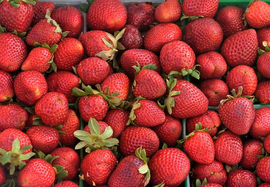 strawberries, fruit, fresh, red, food, sweet, ripe, delicious HD wallpaper