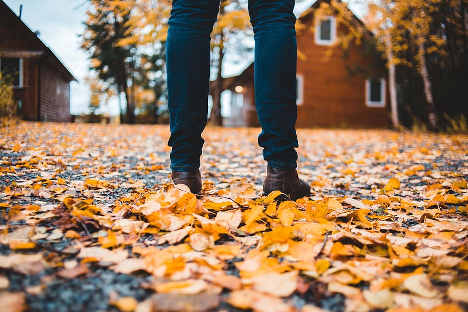 person standing on gray road with leaves, fall, tree, leafe, autumn HD wallpaper