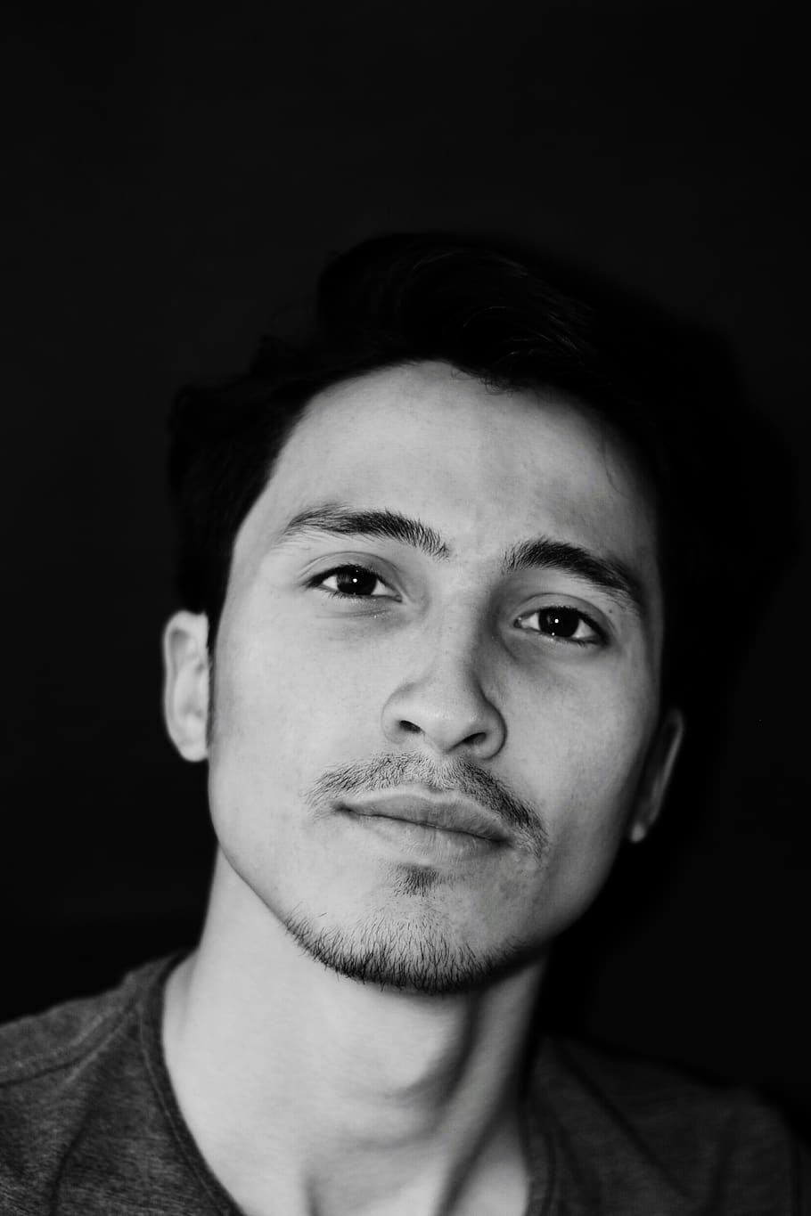 turkey, portrait, headshot, one person, looking at camera, front view HD wallpaper
