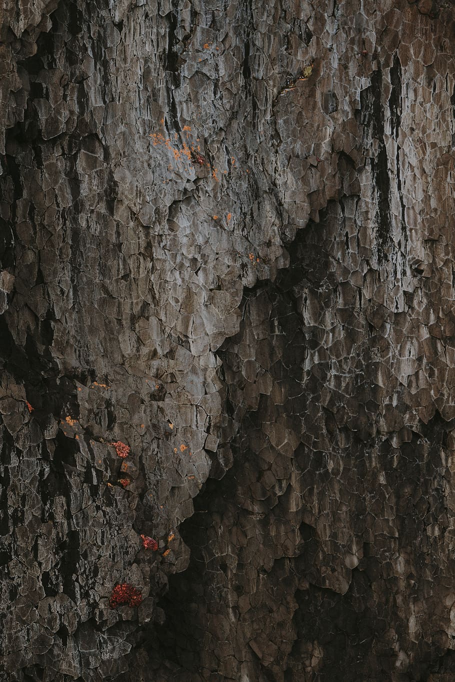 gray cave, tree, plant, tree trunk, nature, outdoors, rock, landscape HD wallpaper