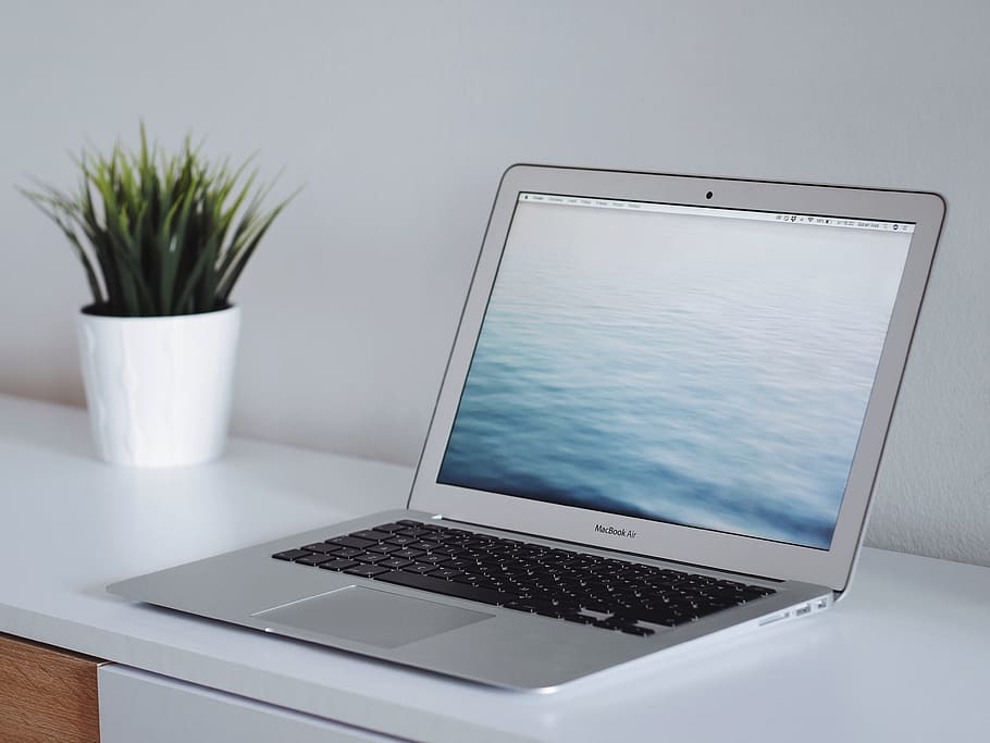 MacBook Air beside green plant on white wooden surface, computer HD wallpaper