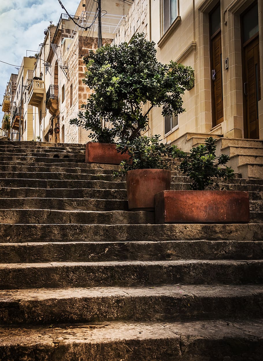 stone steps, street view, olive trees, planters, perspective HD wallpaper