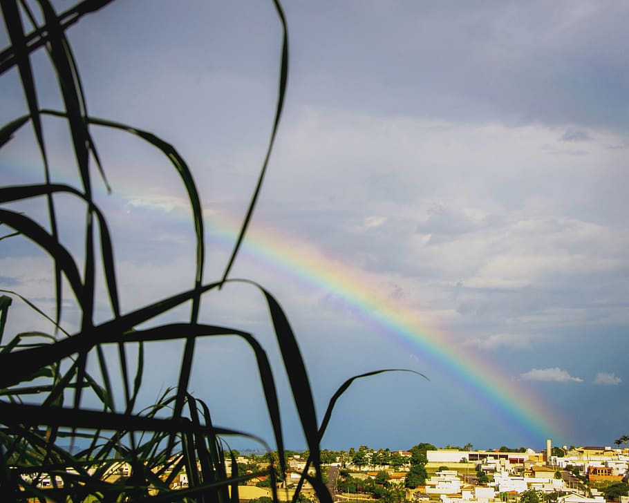 landscape, rain, sky, rainbow, cloud - sky, multi colored, beauty in nature HD wallpaper
