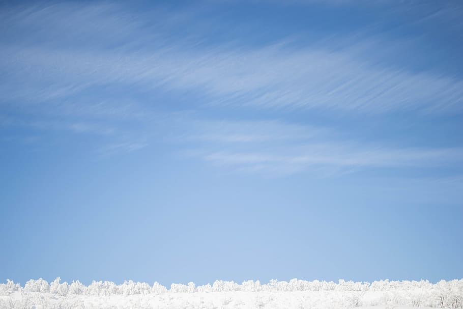 sky, tree, snow, cloud - sky, blue, cold temperature, winter HD wallpaper