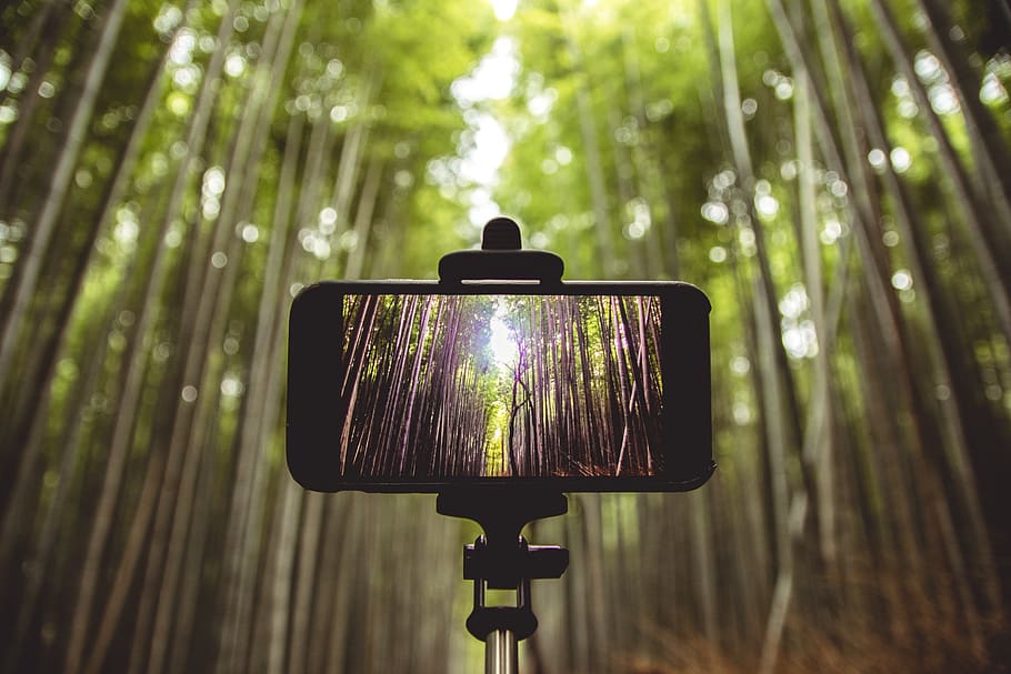 Smartphone on Selfie Stick Shallow Focus Photography, blur, bright HD wallpaper